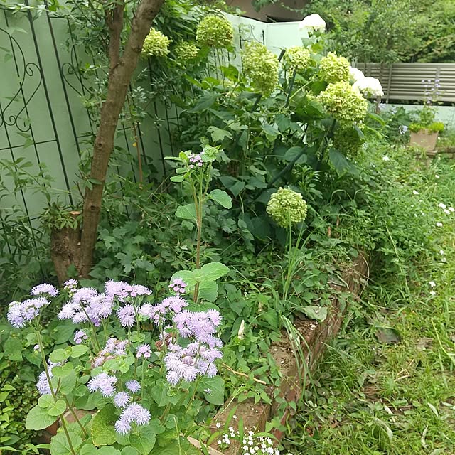 Rさんの部屋