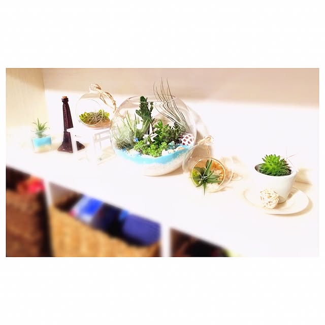 mさんの実例写真