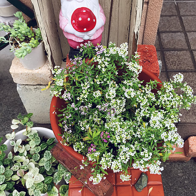 takakoさんの実例写真