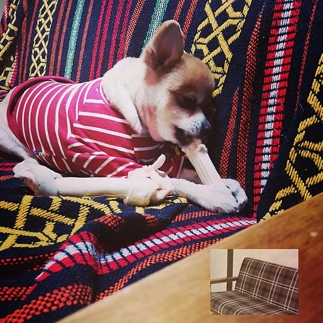 budoupanさんの実例写真