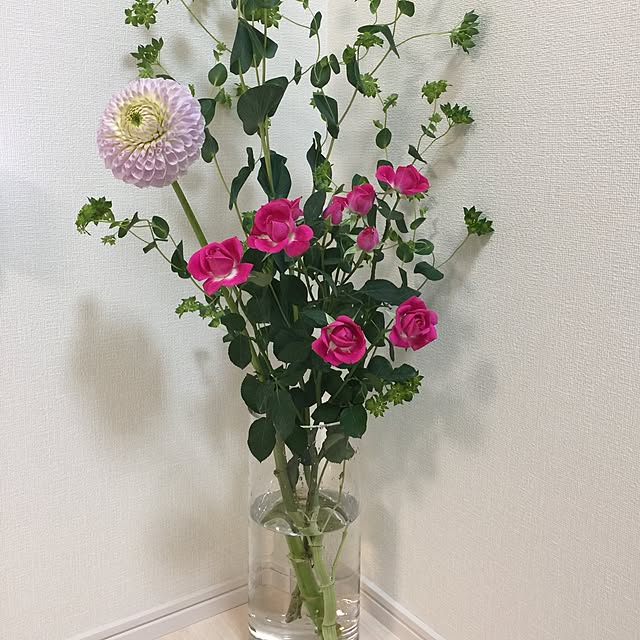 kyyaさんの実例写真
