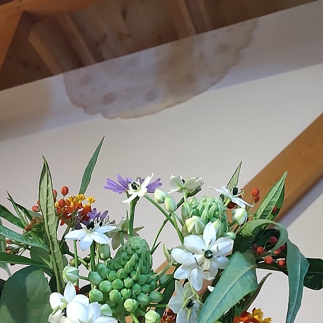 t.yumiさんの部屋
