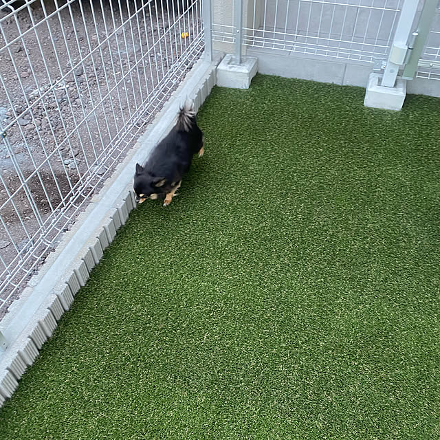 nyaさんの実例写真