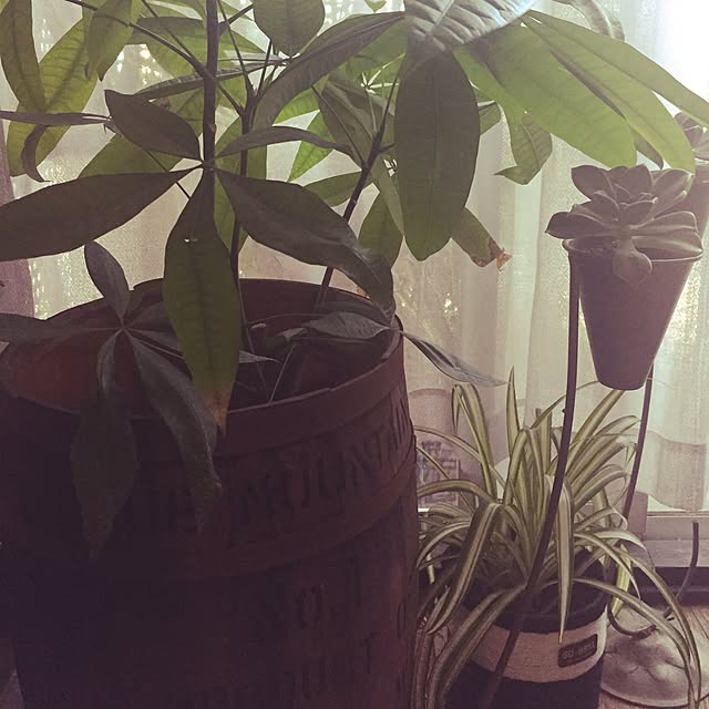 marinkoさんの実例写真