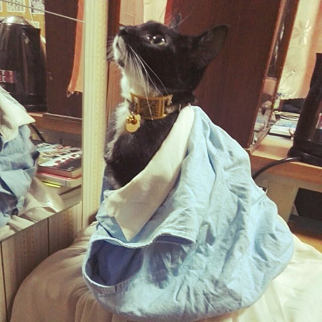 lucyさんの実例写真