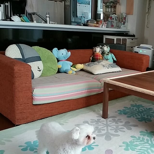 Yuriさんの実例写真