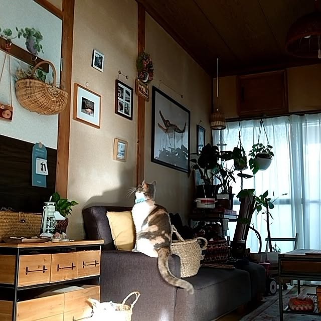 fukuさんの部屋