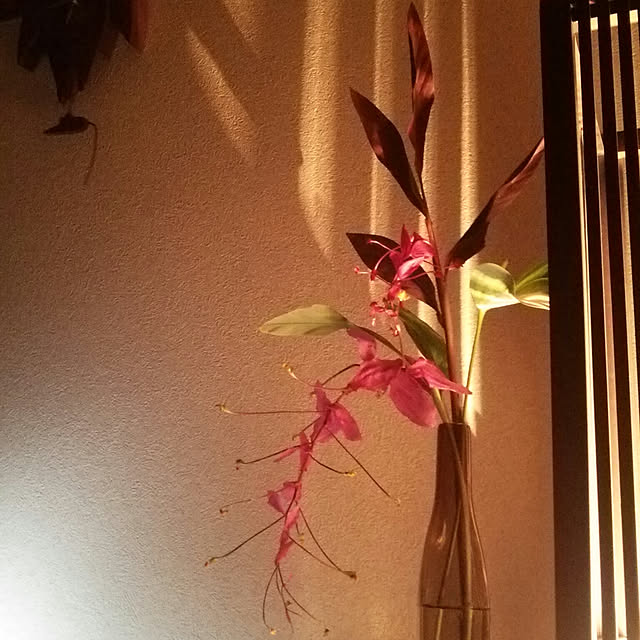 satokichiさんの実例写真