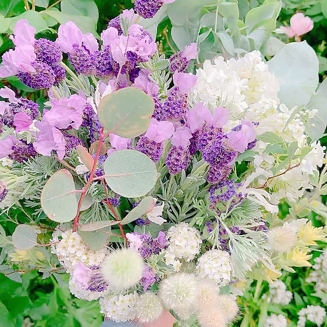 Hanakaさんの部屋