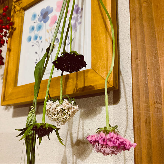 mimichankさんの実例写真