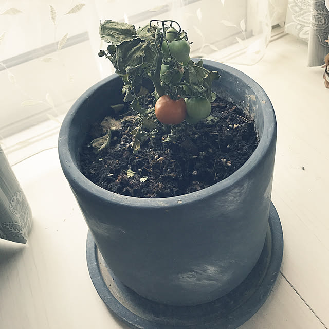 mikihoshさんの実例写真