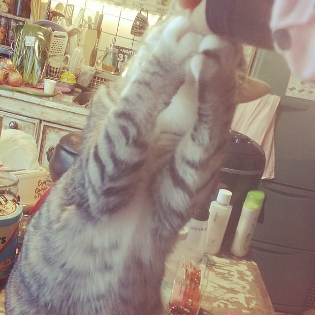 annさんの実例写真