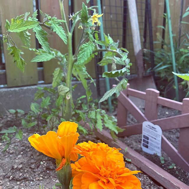 flowerさんの部屋