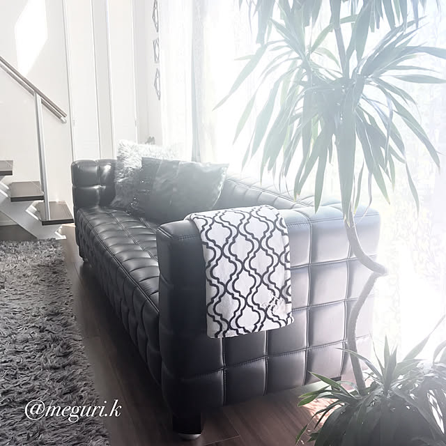 meguri.kさんの実例写真
