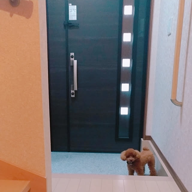 Samさんの実例写真