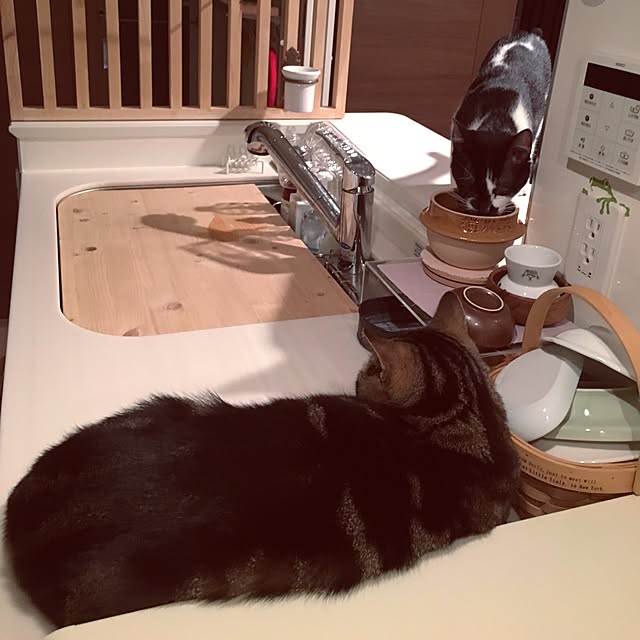 mikomaruさんの実例写真