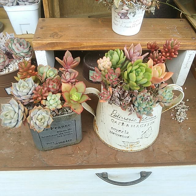 プランターカバー観葉植物カントリー職人手作木製多肉植物北欧
