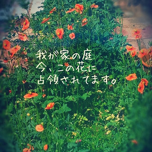 38coreさんの実例写真