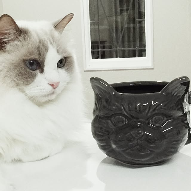 yuchiさんの実例写真