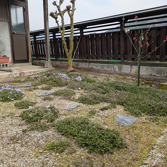 kuririnmamaさんの部屋