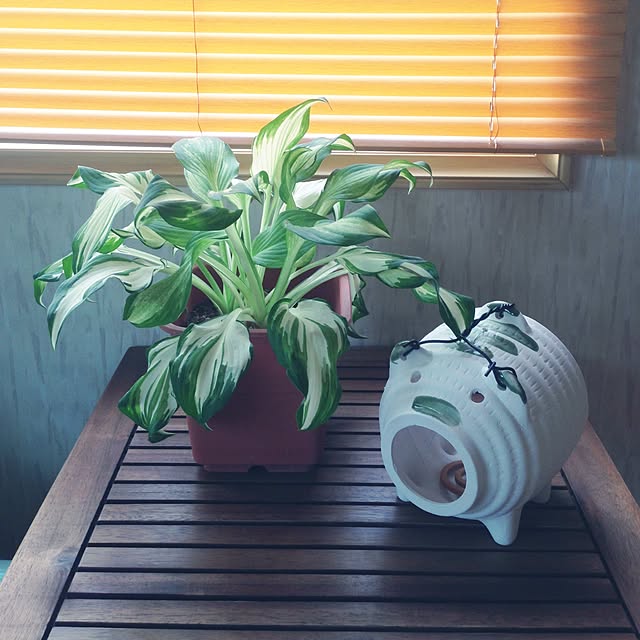 mebiさんの実例写真