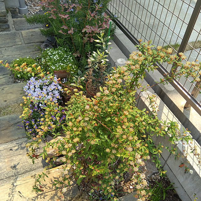 Ruii25さんの実例写真