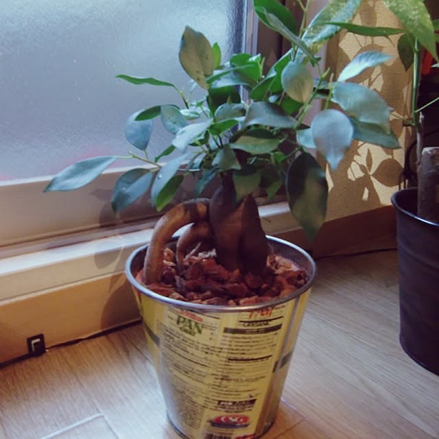 rrikiyさんの実例写真