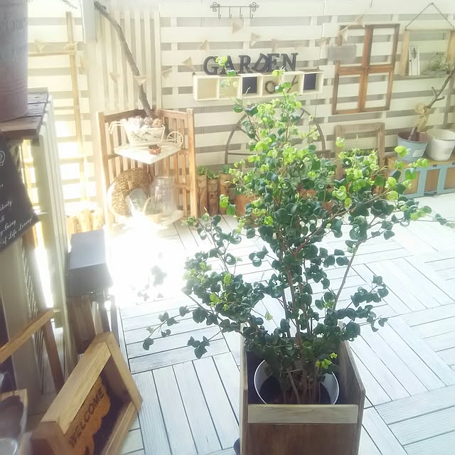 flannel.さんの実例写真
