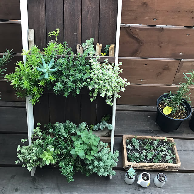 DIY/多肉植物/寄せ植え初心者/部屋全体のインテリア実例 - 2019-10-01 16:03:16