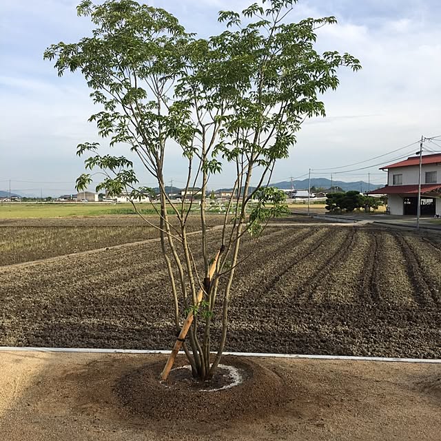 takechiさんの実例写真