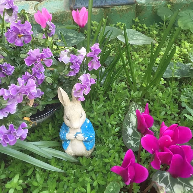 chakoさんの実例写真
