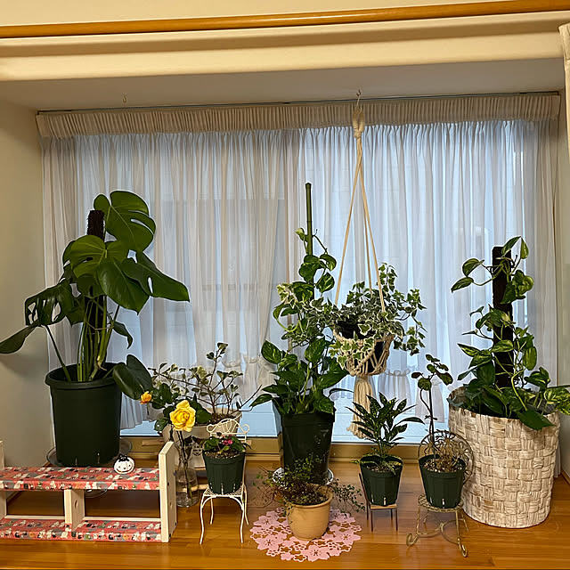 kakoさんの実例写真