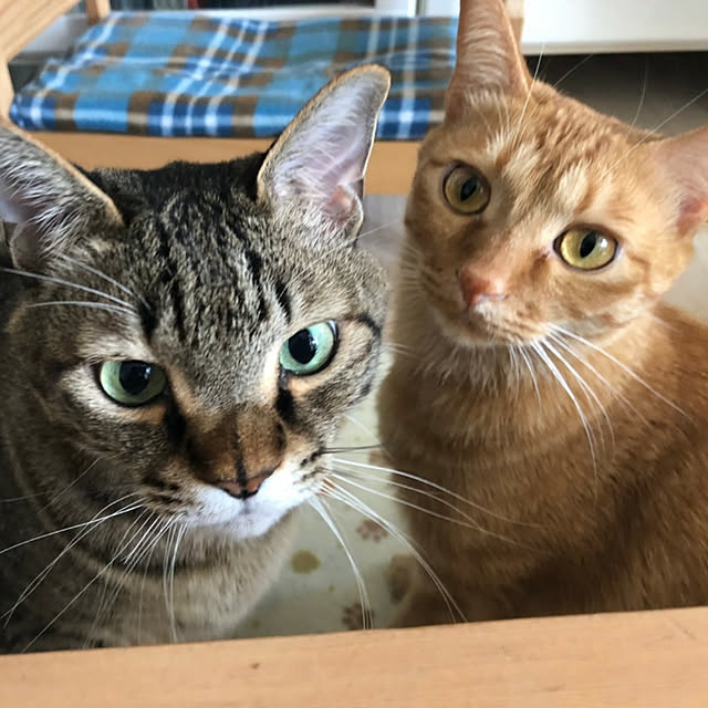 naturalさんの実例写真