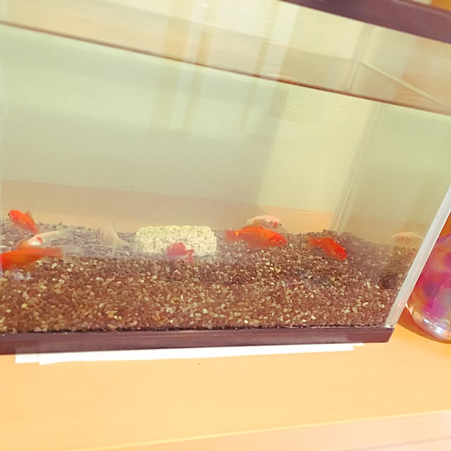 ar__arさんの実例写真