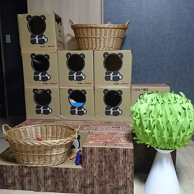 chisaさんの実例写真