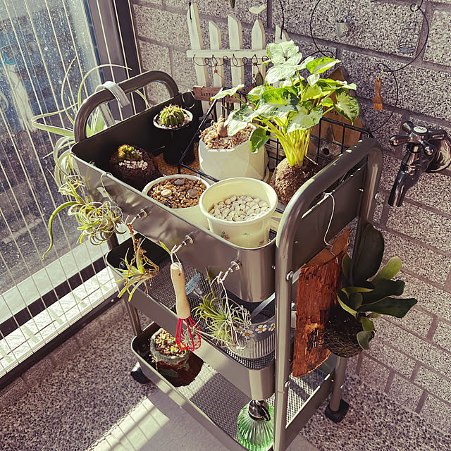 Dorisさんの実例写真