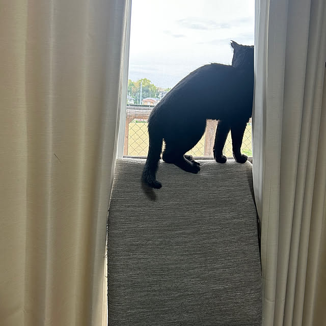 junさんの実例写真