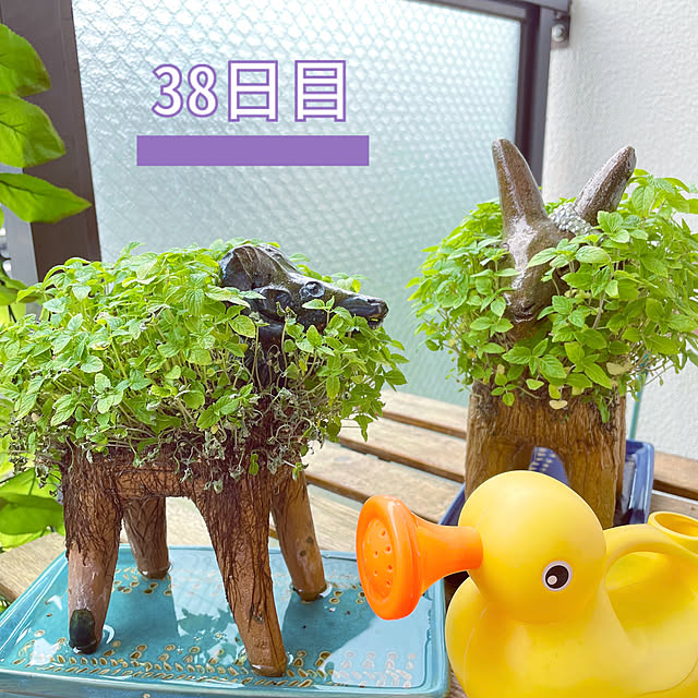 aureaさんの実例写真