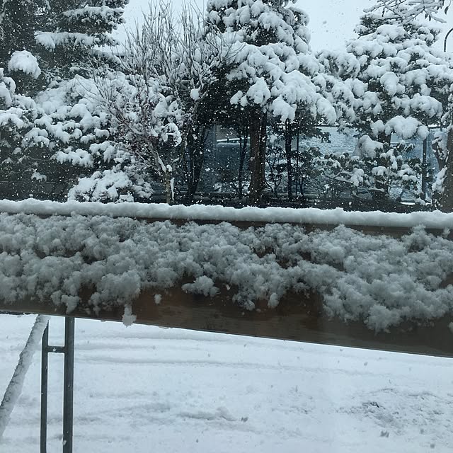 megkeiさんの実例写真