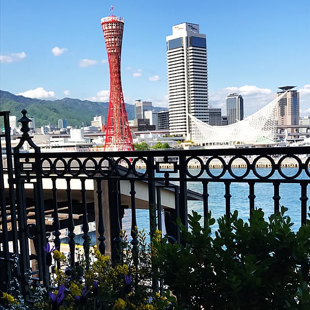 minakoさんの実例写真