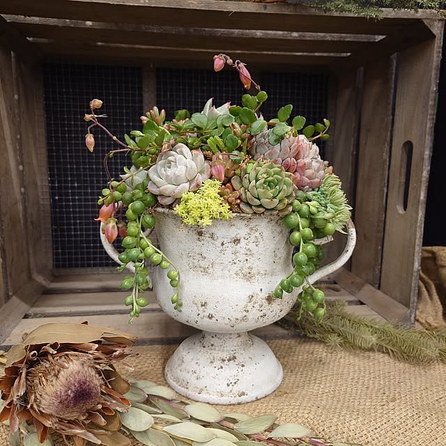 mayuroseさんの実例写真