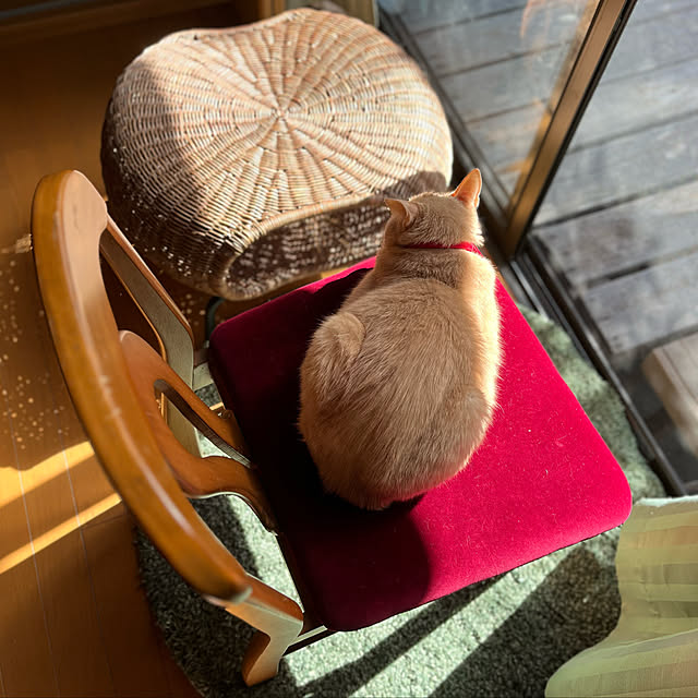 mikan161さんの実例写真