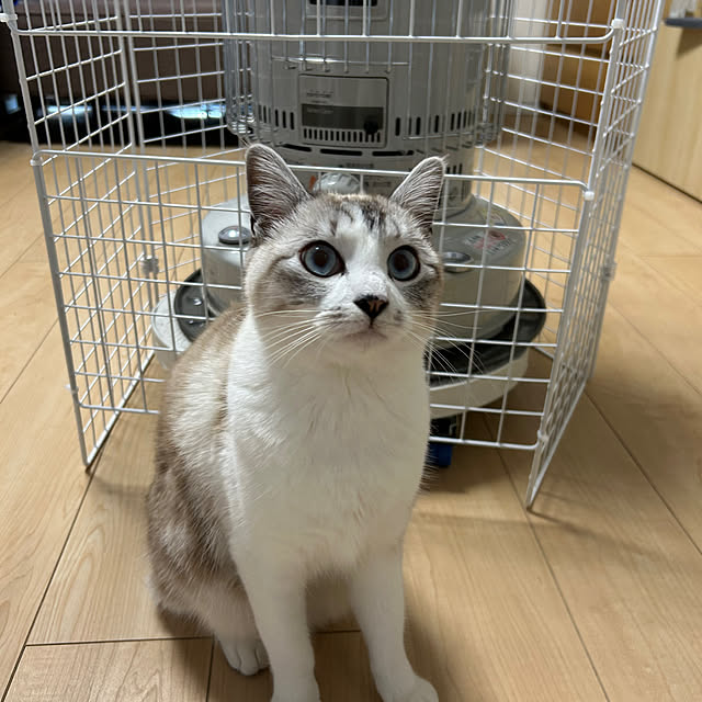 ekkoさんの部屋