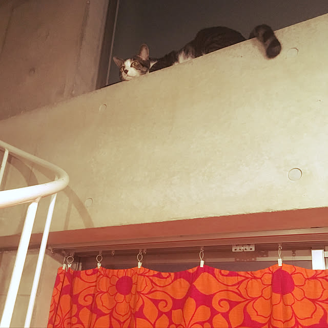 maruhakuchiさんの実例写真