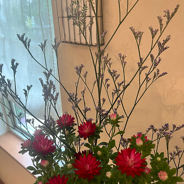 rinrinさんの部屋