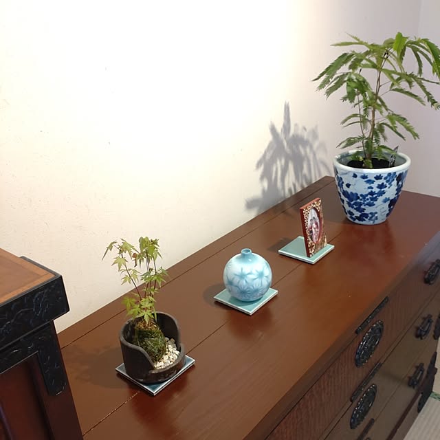 keemo293さんの部屋