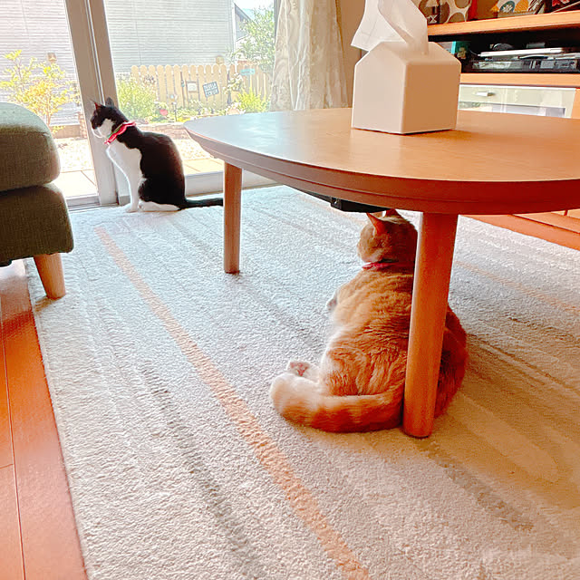 moolさんの部屋