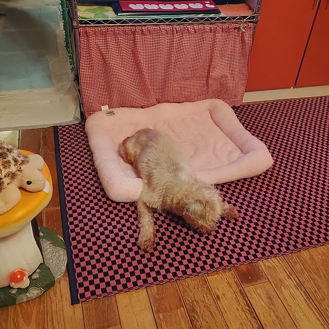 kumutanさんの部屋