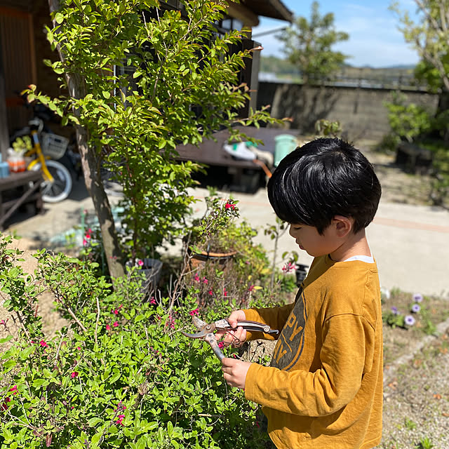 nanaさんの実例写真