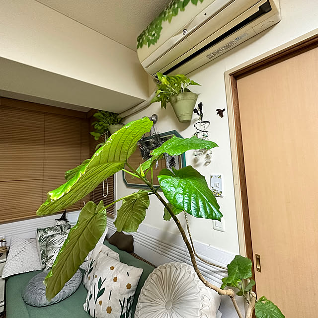 mizucchiさんの実例写真